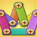 Screw Puzzle   DIY